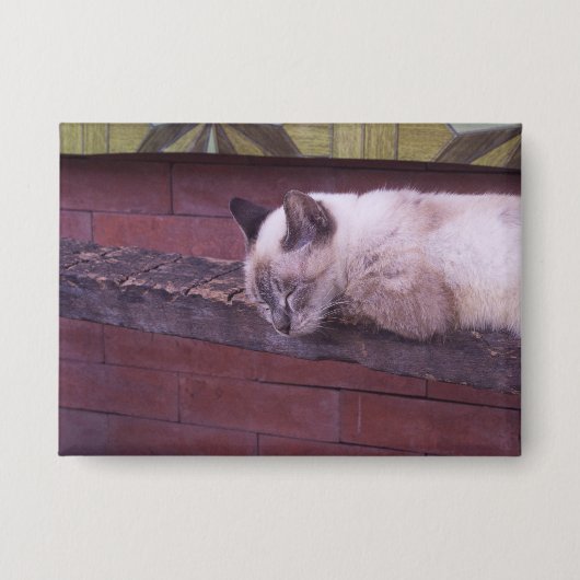 Slapende kat op hout button (Voorkant)