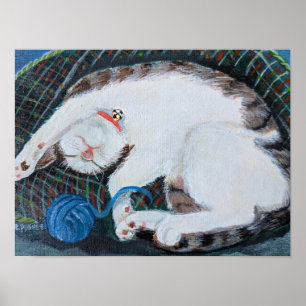 Slapende Kat Poster