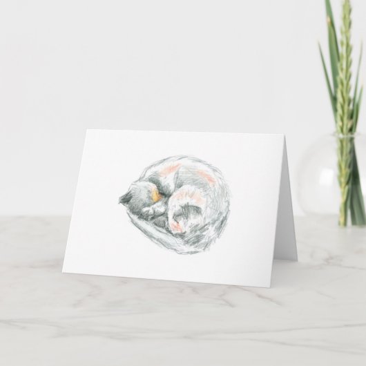 Slapende kat tekening feestdagen kaart (Voorkant)