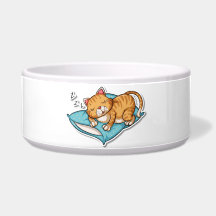 Slapende kat