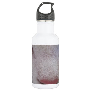 Slapende Kat Waterfles