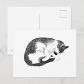Slapende Kat – Zachte Herinnering om te Rusten Briefkaart (Voorkant / Achterkant)