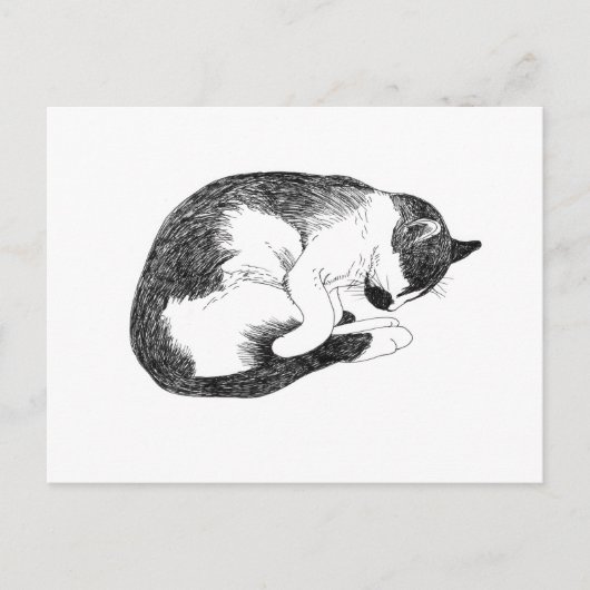 Slapende Kat – Zachte Herinnering om te Rusten Briefkaart (Voorkant)