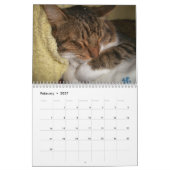 Slapende katten in de wandkalender van 2017 kalender (Feb 2027)