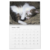 Slapende katten in de wandkalender van 2017 kalender (Jan 2027)