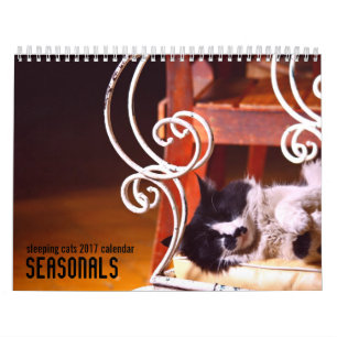 Slapende katten in de wandkalender van 2017 kalender