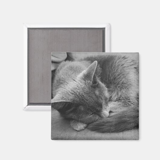 Slapende kattenmagneet magneet (Voorkant / Achterkant)