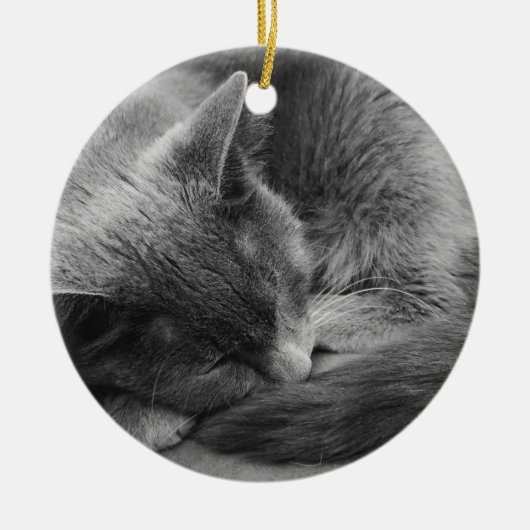 Slapende kattenversiering keramisch ornament (Voorkant)