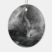 Slapende kattenversiering keramisch ornament (Links)