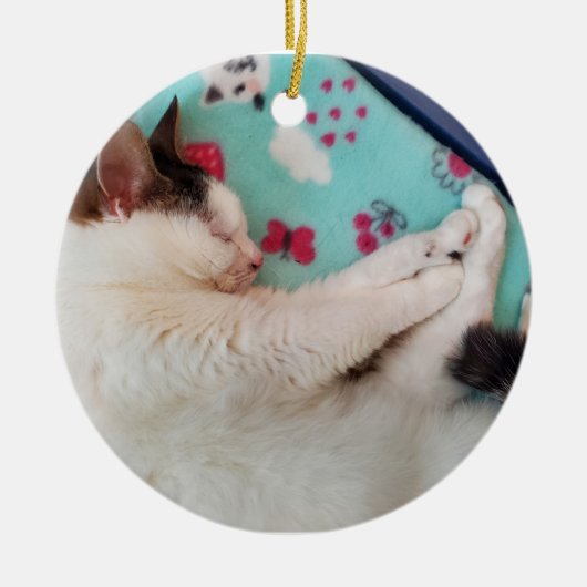 Slapende kattenversiering keramisch ornament (Voorkant)