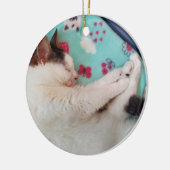 Slapende kattenversiering keramisch ornament (Links)