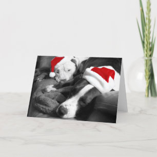 slapende kerstfeestdagen puppies schattige santa feestdagen kaart