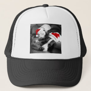 slapende kerstfeestdagen puppies schattige santa trucker pet