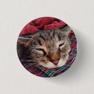Slapende kerstkat tabby geruite flanel rood ronde button 3,2 cm