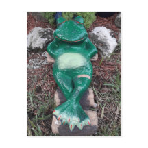 Slapende kikker die gewoon wat over jou praat