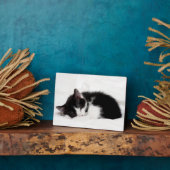 Slapende kitten fotoplaat (Zijkant)