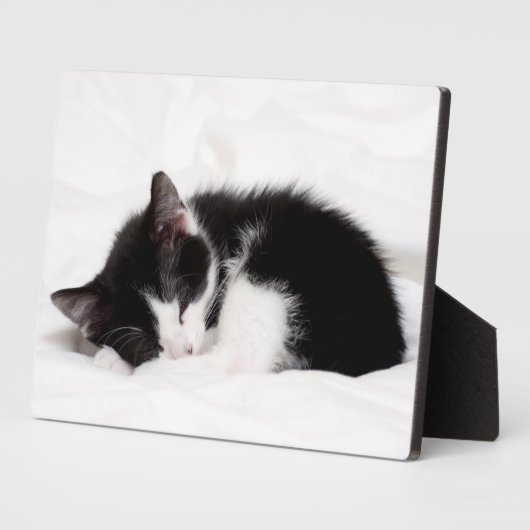 Slapende kitten fotoplaat (Zijkant)