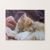 Slapende Kitten Legpuzzel (Horizontaal)