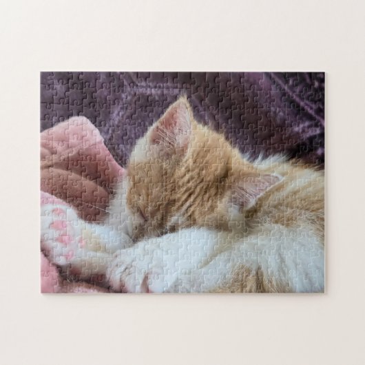 Slapende Kitten Legpuzzel (Horizontaal)