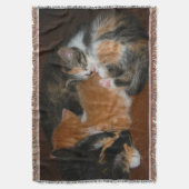 Slapende kittens deken (Voorkant Verticaal)