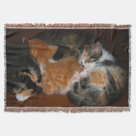 Slapende kittens deken (Voorkant)