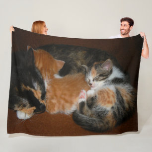Slapende kittens fleece deken