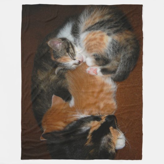 Slapende kittens fleece deken (Voorkant)