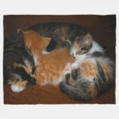 Slapende kittens fleece deken (Voorkant (Horizontaal))