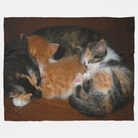 Slapende kittens fleece deken (Voorkant (Horizontaal))