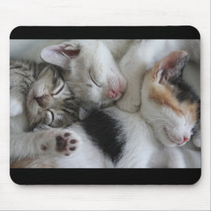 Slapende Kittens-Muismat Muismat