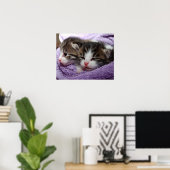 Slapende kittens poster (Thuiskantoor)