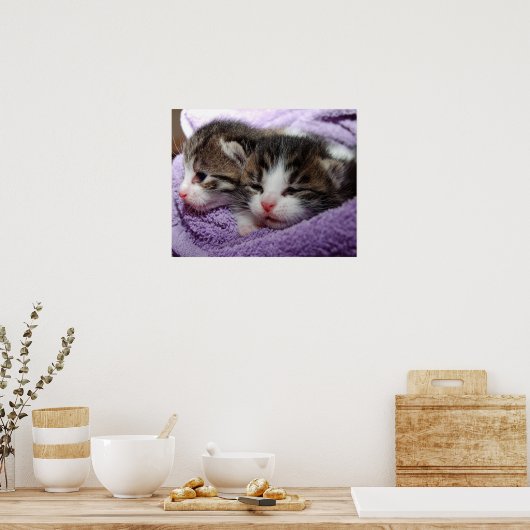 Slapende kittens poster (Keuken)