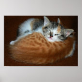 Slapende kittens poster (Voorkant)