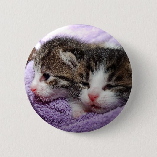 Slapende kittens ronde button 5,7 cm (Voorkant)