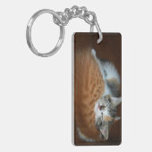 Slapende kittens sleutelhanger (Voorkant Links)