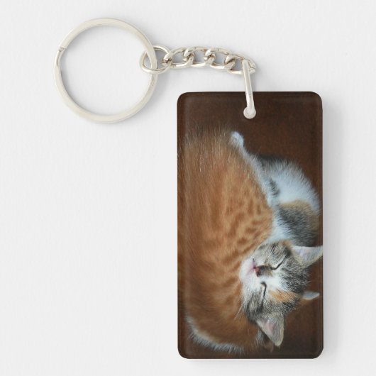 Slapende kittens sleutelhanger (Voorkant)