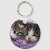 Slapende kittens sleutelhanger (Voorkant)