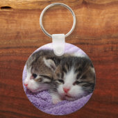 Slapende kittens sleutelhanger (Voorkant)