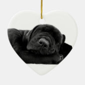 Slapende Lab Ornament (Achterkant)