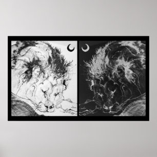 Slapende leeuwen: Yin & Yang Poster