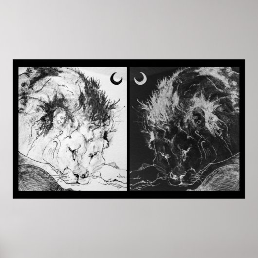 Slapende leeuwen: Yin & Yang Poster (Voorkant)