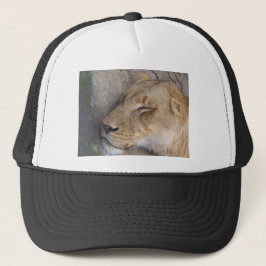Slapende Leeuwin Trucker Pet