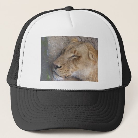 Slapende Leeuwin Trucker Pet (Voorkant)