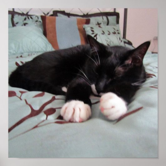 Slapende Lucy Poster (Voorkant)