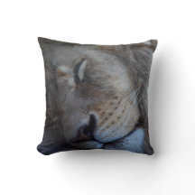 Slapende mannelijke leeuw