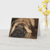 slapende mastiff wacht op taart kaart (Gele Bloem)