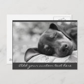 Slapende miniatuur Pinscher-hond Briefkaart (Voorkant / Achterkant)