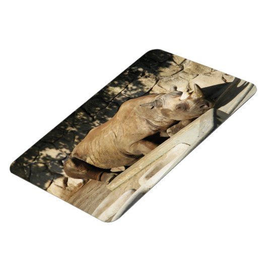 Slapende Neushoorn Magneet (Linkerzijde)