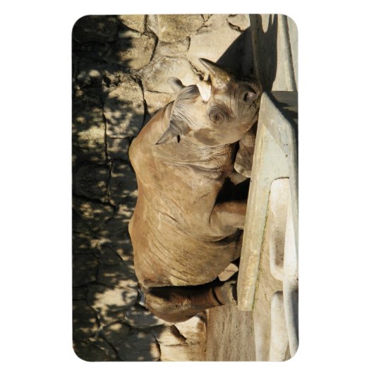 Slapende Neushoorn Magneet (Verticaal)