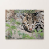Slapende Ocelot Legpuzzel (Horizontaal)